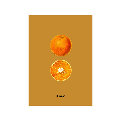 Orange Study | Pomological Art Print
