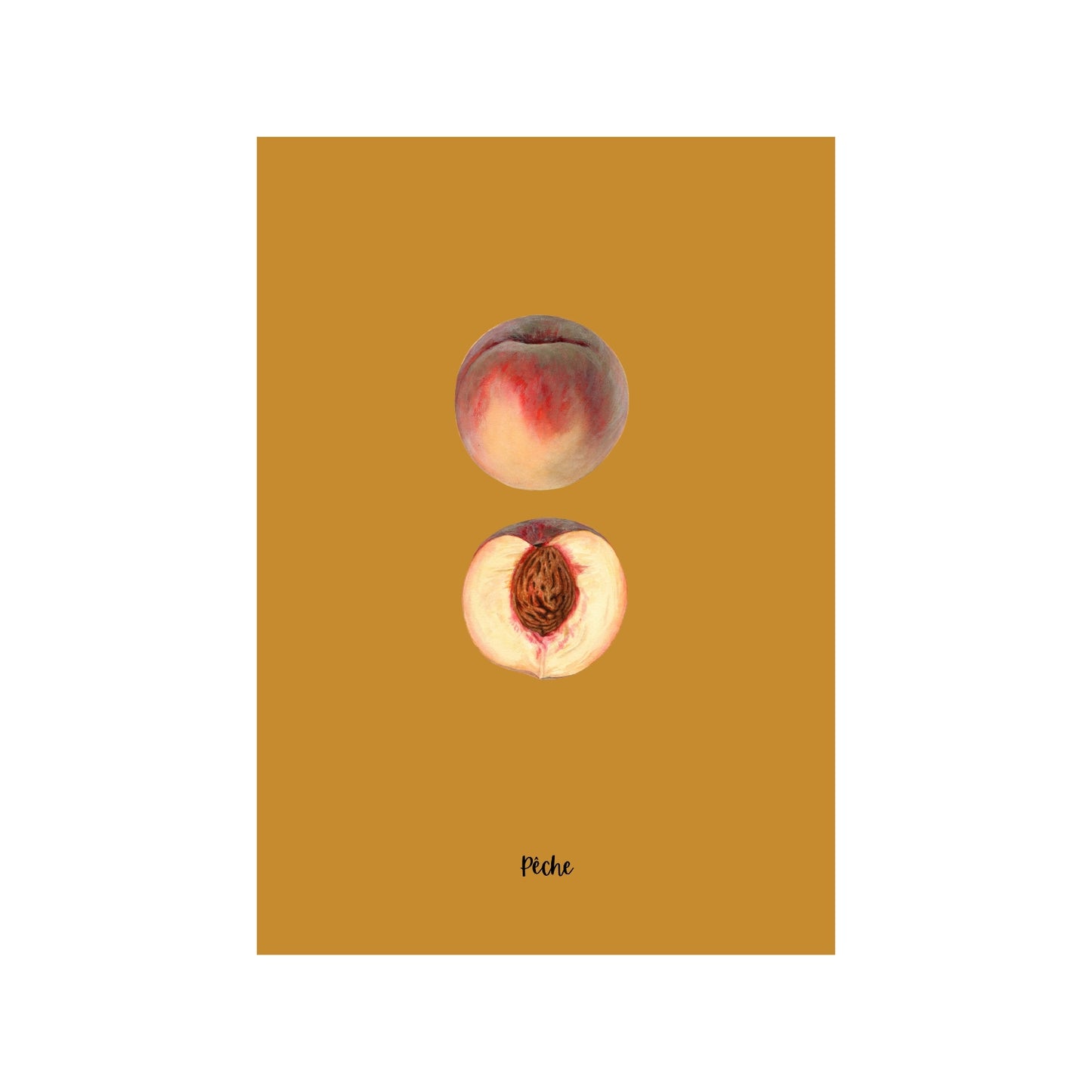 Peach Study | Pomological Art Print