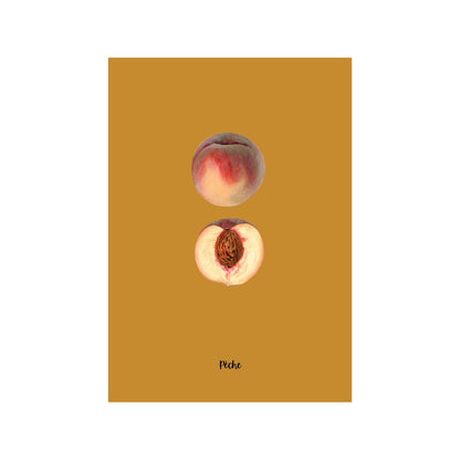 Peach Study | Pomological Art Print