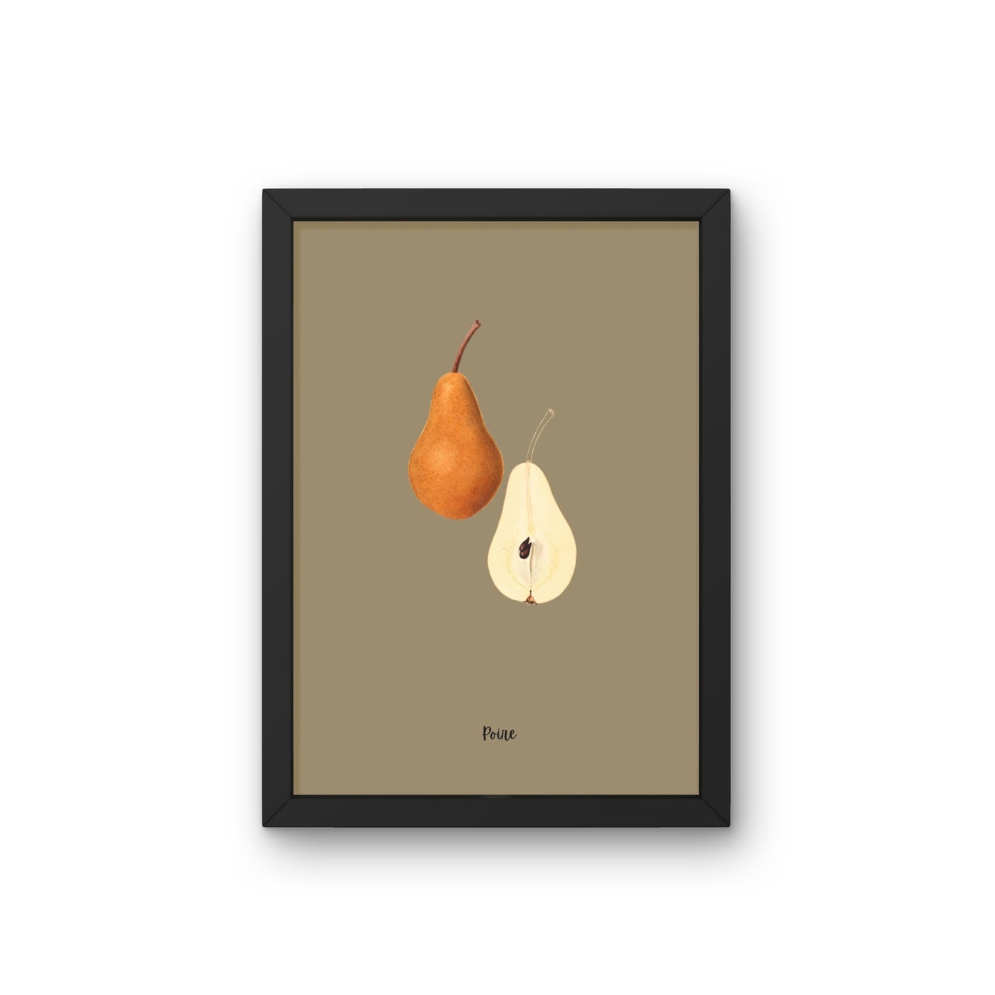 Pear Study | Pomological Art Print