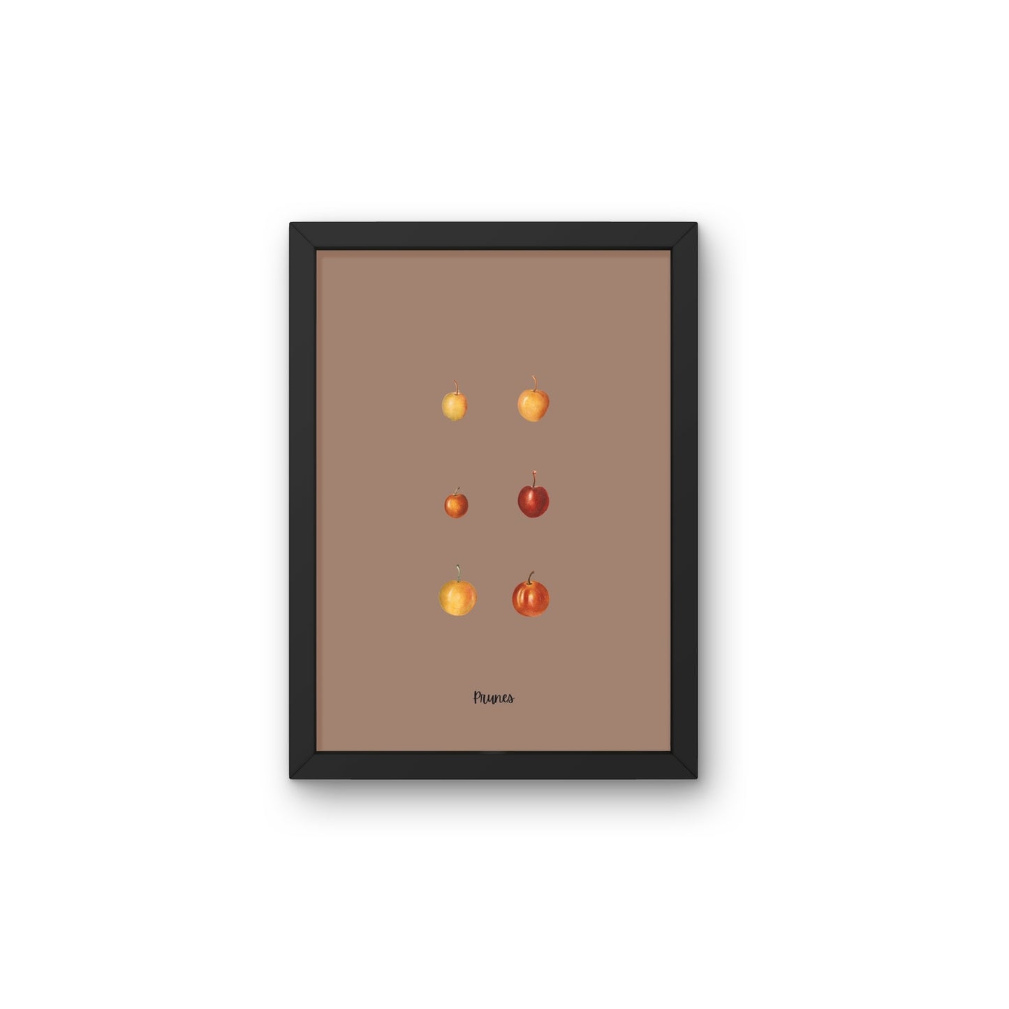 Plums | Pomological Art Print