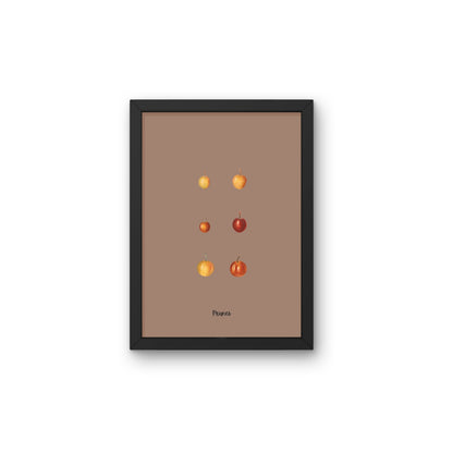 Plums | Pomological Art Print