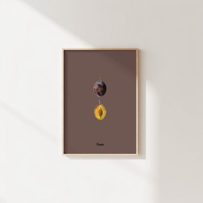 Single Plum | Pomological Art Print