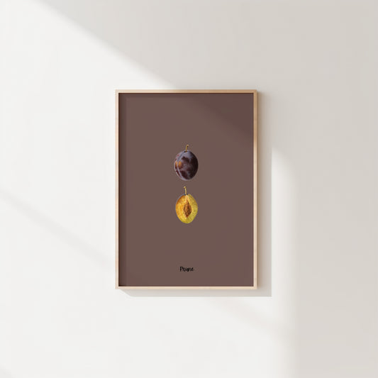 Single Plum | Pomological Art Print