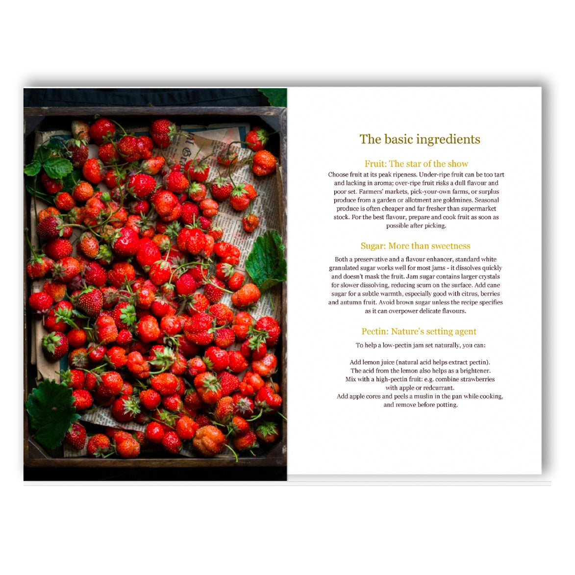 Slow Jam - The Art of French Jam Making | Hardback Edition